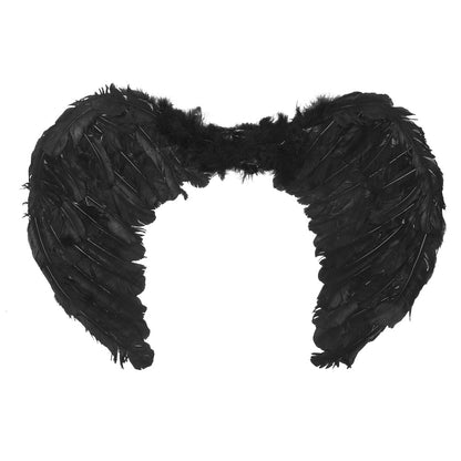 Ailes Noires Plumes Déguisement Ange Démon Halloween