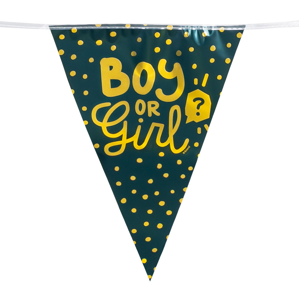 Bannière Gender Reveal Boy or Girl - Décoration Fête 30cm