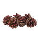 6 Pommes de pin paillettes rouges 4 cm