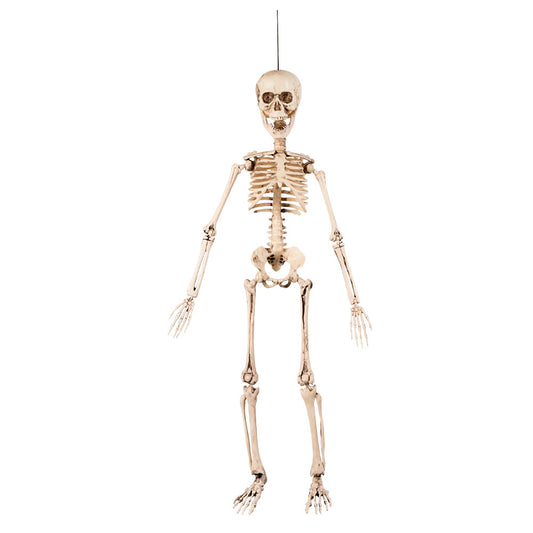 Squelette Articulé 160 cm - Décoration Halloween Réaliste