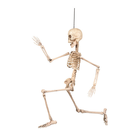 Squelette Articulé 160 cm - Décoration Halloween Réaliste