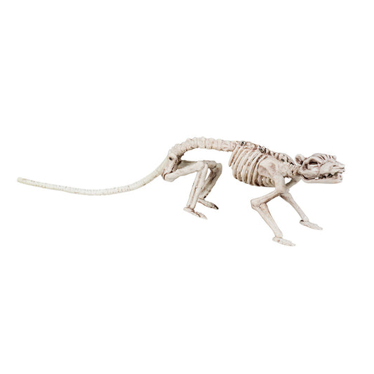 Squelette Dinosaure Blanc - Décoration Halloween Réaliste