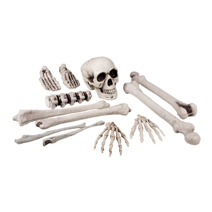 Squelette Complet Halloween - Accessoires Pirate et Décor