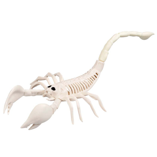 Squelette de Scorpion Blanc - Décoration Halloween Effrayante