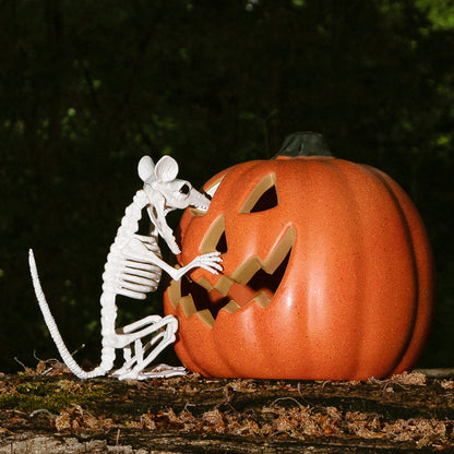 Squelette Animal Phosphorescent - Décoration Halloween Originale