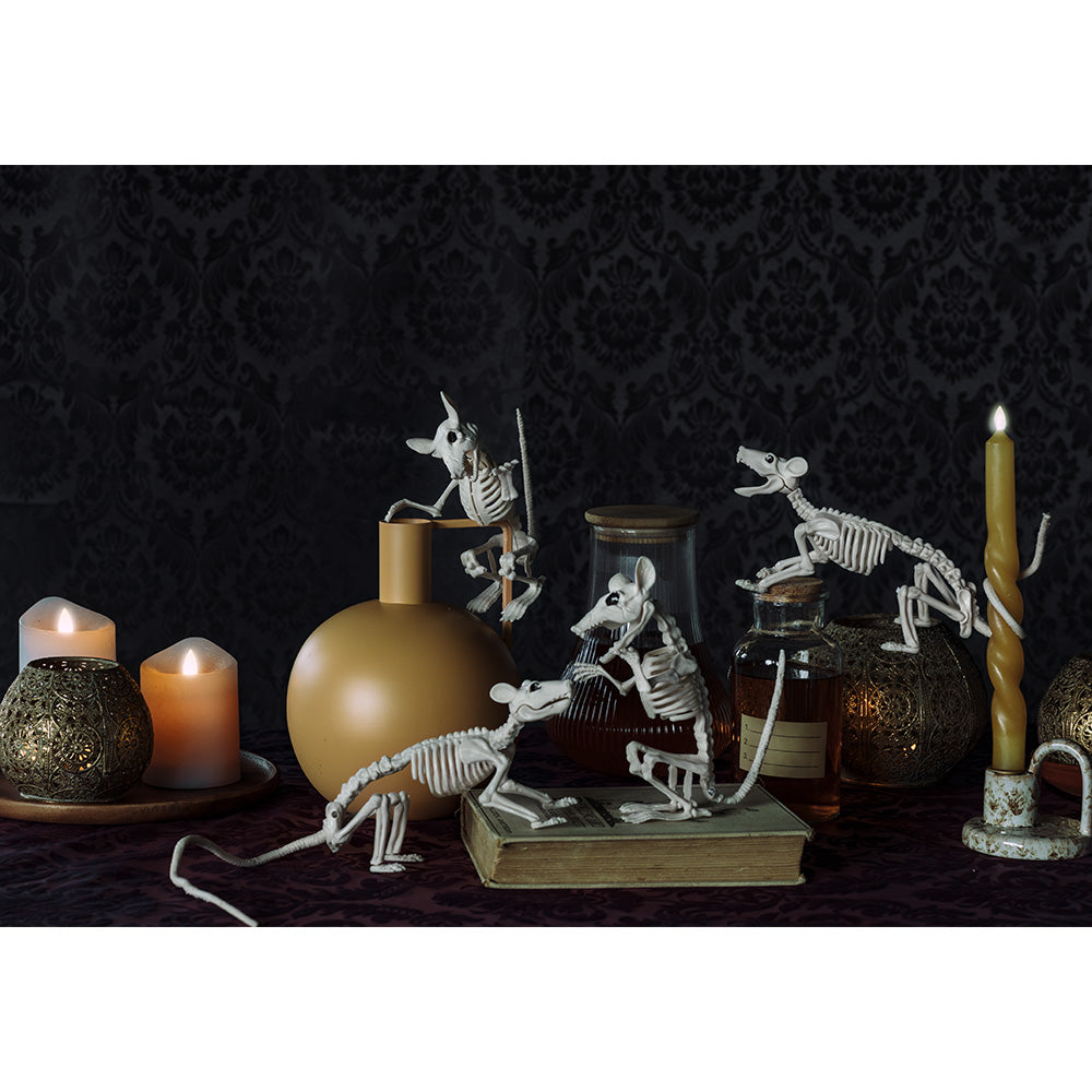 Squelette Animal Phosphorescent - Décoration Halloween Originale