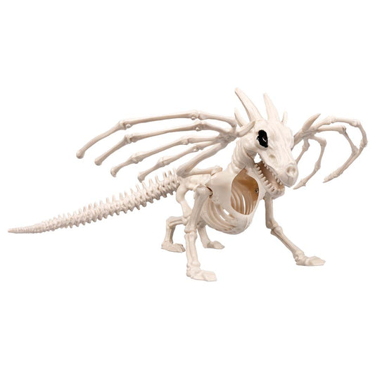 Squelettes Animaux Décoration - Collection Complète d'Ossements