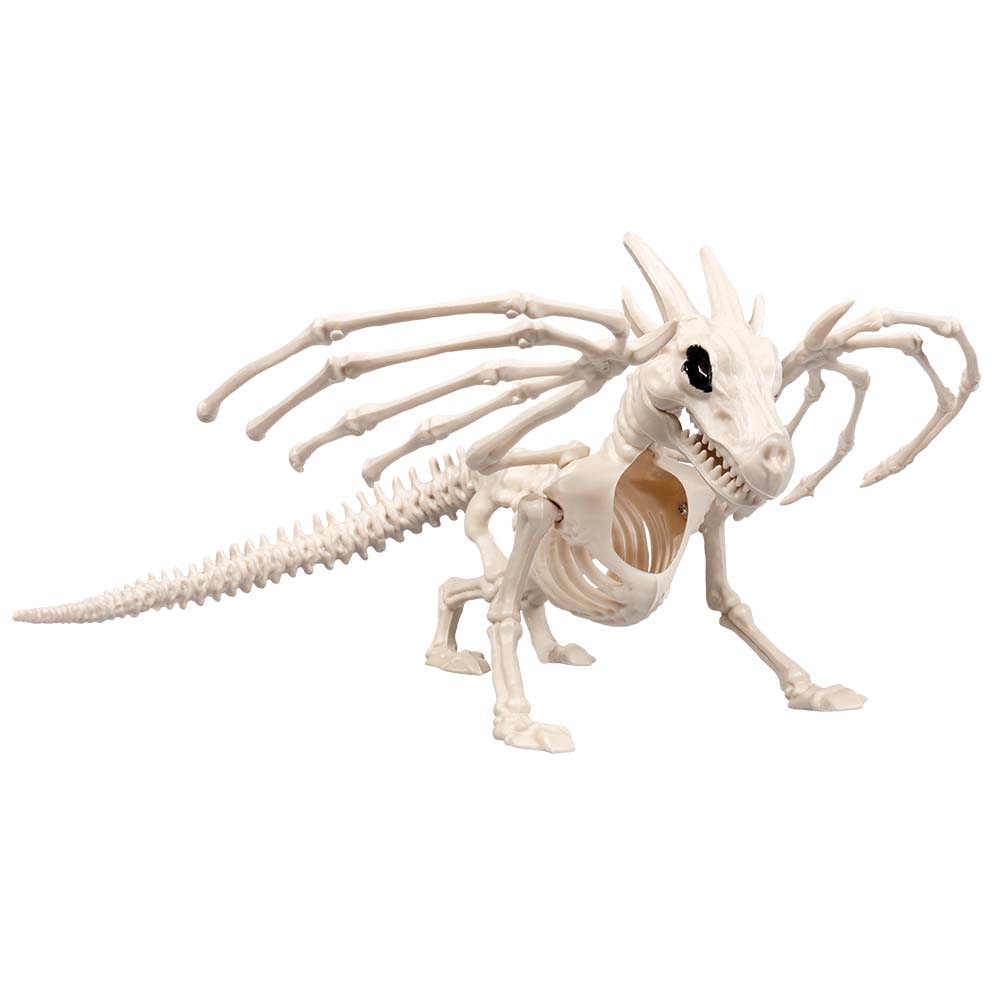 Squelettes Animaux Décoration - Collection Complète d'Ossements