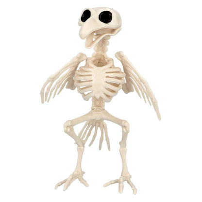 Squelette Oiseau Décoratif - Figurine Osseuse Halloween