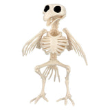 Squelette Oiseau Décoratif - Figurine Osseuse Halloween