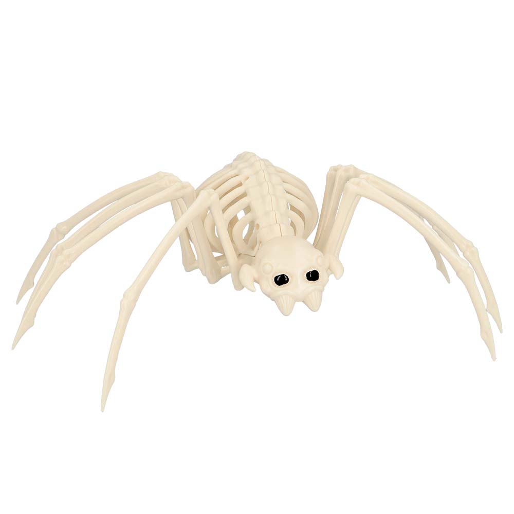 Araignée Squelette Blanche - Décoration Halloween Effrayante
