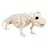 Squelette de Dinosaure T-Rex – Décoration Halloween Horrifique