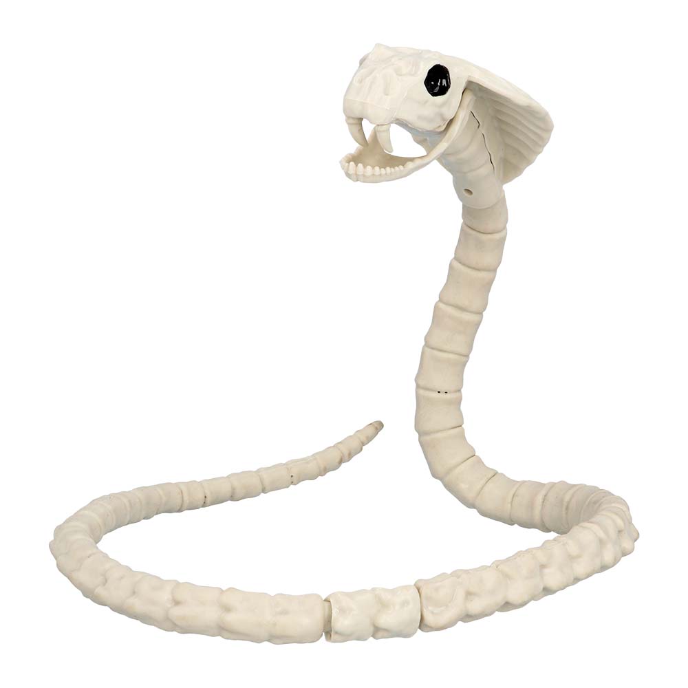 Squelette Serpent Géant - Décoration Halloween Anatomique