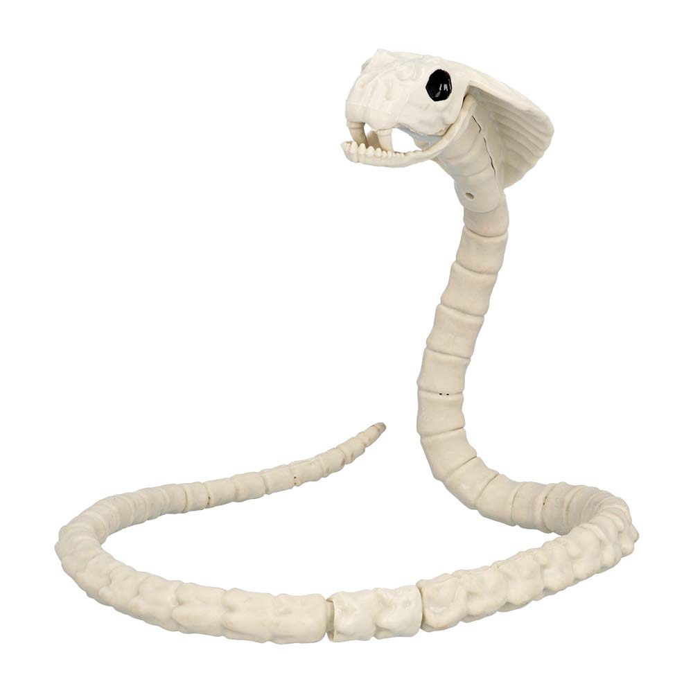Squelette Serpent Géant - Décoration Halloween Anatomique