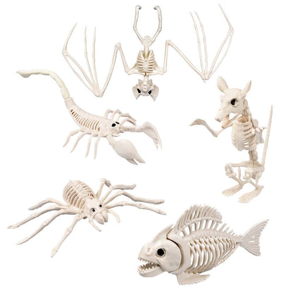 Squelettes d'Animaux Préhistoriques - Set 6 Fossiles Décoratifs
