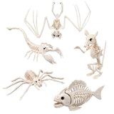 Squelettes d'Animaux Préhistoriques - Set 6 Fossiles Décoratifs