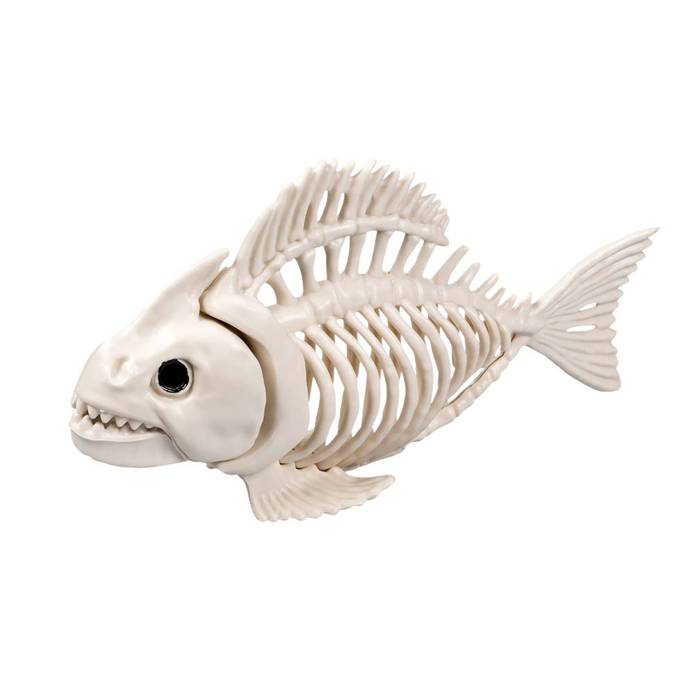 Squelettes d'Animaux Préhistoriques - Set 6 Fossiles Décoratifs