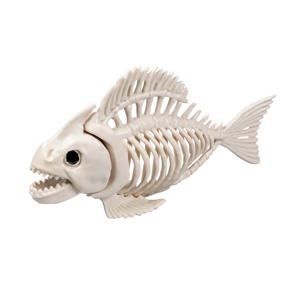 Squelettes d'Animaux Préhistoriques - Set 6 Fossiles Décoratifs