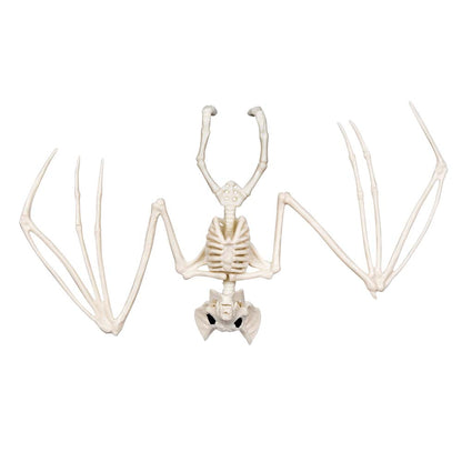 Squelettes d'Animaux Préhistoriques - Set 6 Fossiles Décoratifs