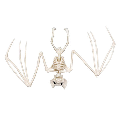 Squelettes d'Animaux Préhistoriques - Set 6 Fossiles Décoratifs