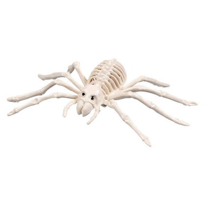 Squelettes d'Animaux Préhistoriques - Set 6 Fossiles Décoratifs