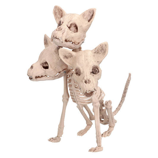 Squelette Chihuahua Decoratif - 3 Tetes Osseuses