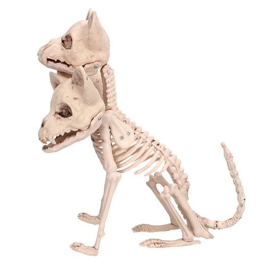 Squelette Chihuahua Decoratif - 3 Tetes Osseuses