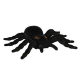 Araignée Géante Noire - Accessoire Halloween Réaliste
