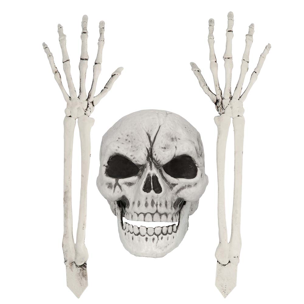 Squelette Complet avec Crâne et Mains Articulées - Décoration Halloween