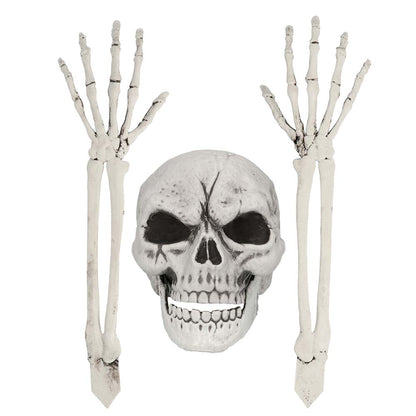 Squelette Complet avec Crâne et Mains Articulées - Décoration Halloween