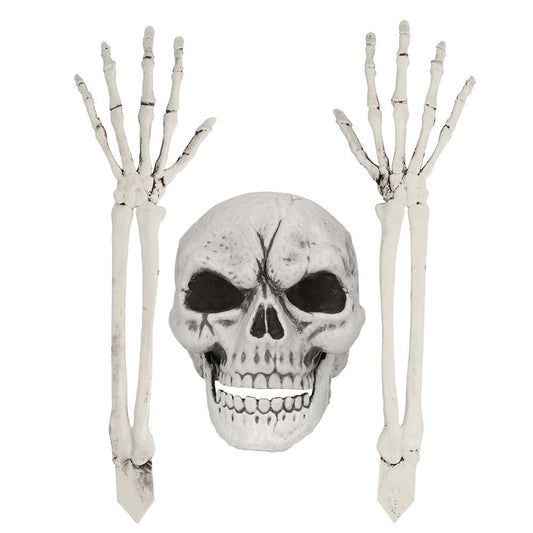 Squelette Complet avec Crâne et Mains Articulées - Décoration Halloween