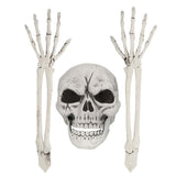 Squelette Complet avec Crâne et Mains Articulées - Décoration Halloween