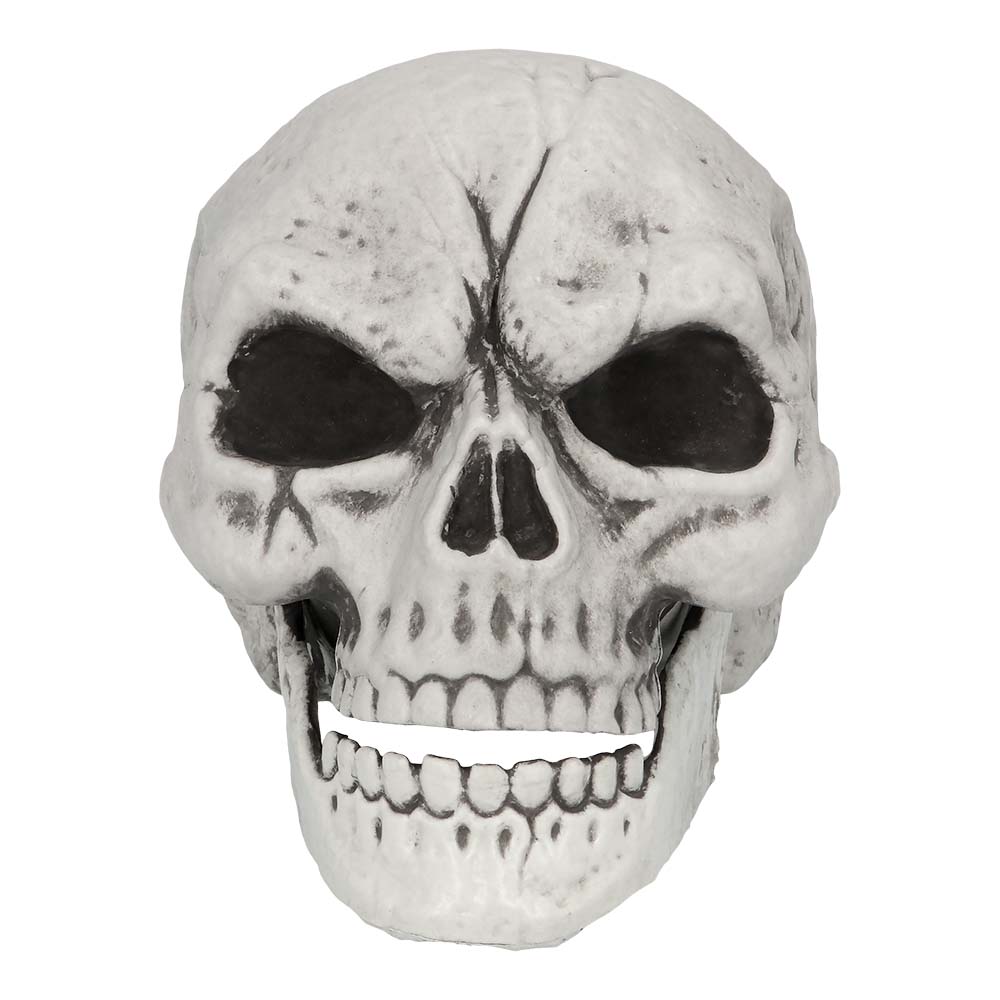 Squelette Complet avec Crâne et Mains Articulées - Décoration Halloween