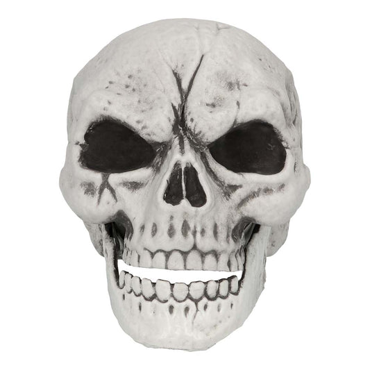 Squelette Complet avec Crâne et Mains Articulées - Décoration Halloween