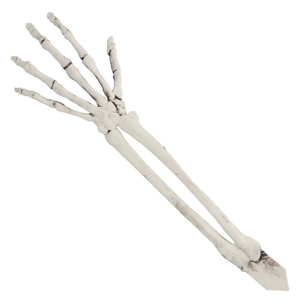 Squelette Complet avec Crâne et Mains Articulées - Décoration Halloween