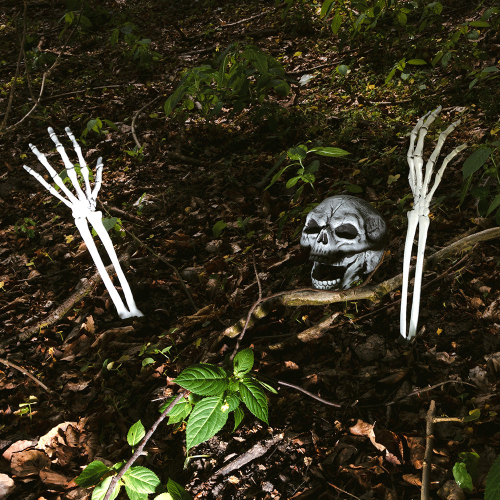 Squelette Complet avec Crâne et Mains Articulées - Décoration Halloween