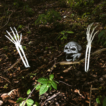 Squelette Complet avec Crâne et Mains Articulées - Décoration Halloween