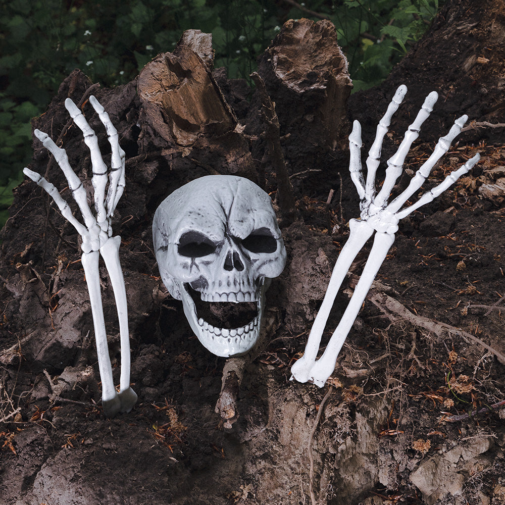 Squelette Complet avec Crâne et Mains Articulées - Décoration Halloween