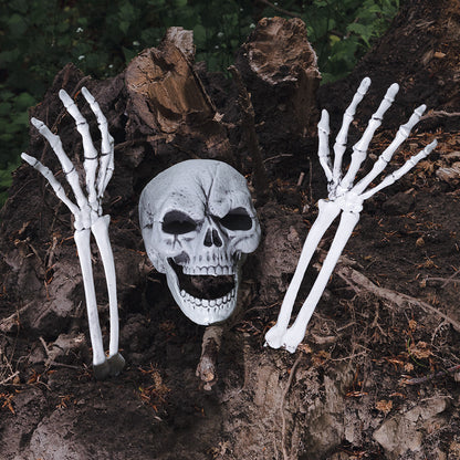Squelette Complet avec Crâne et Mains Articulées - Décoration Halloween