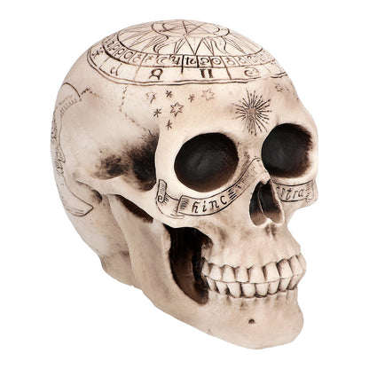 Crâne Astrologique Décoratif - Tête de Mort Zodiaque