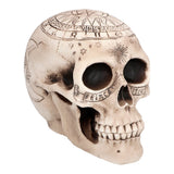 Crâne Astrologique Décoratif - Tête de Mort Zodiaque