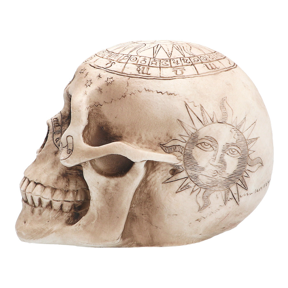 Crâne Astrologique Décoratif - Tête de Mort Zodiaque