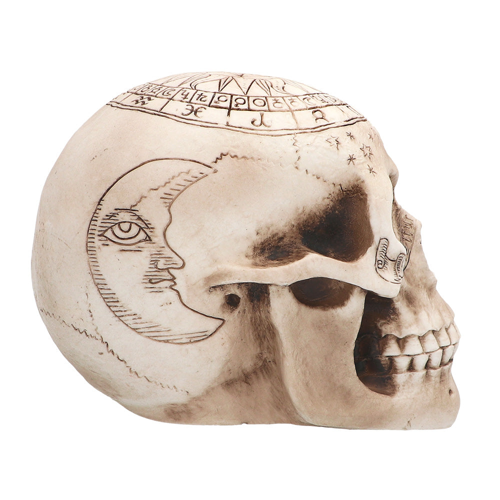 Crâne Astrologique Décoratif - Tête de Mort Zodiaque