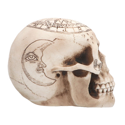 Crâne Astrologique Décoratif - Tête de Mort Zodiaque