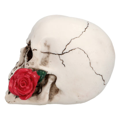 Crâne Blanc avec Rose Rouge - Décoration Gothique Élégante