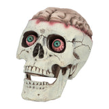Crâne avec Cerveau Animé - Décoration Halloween Effrayante