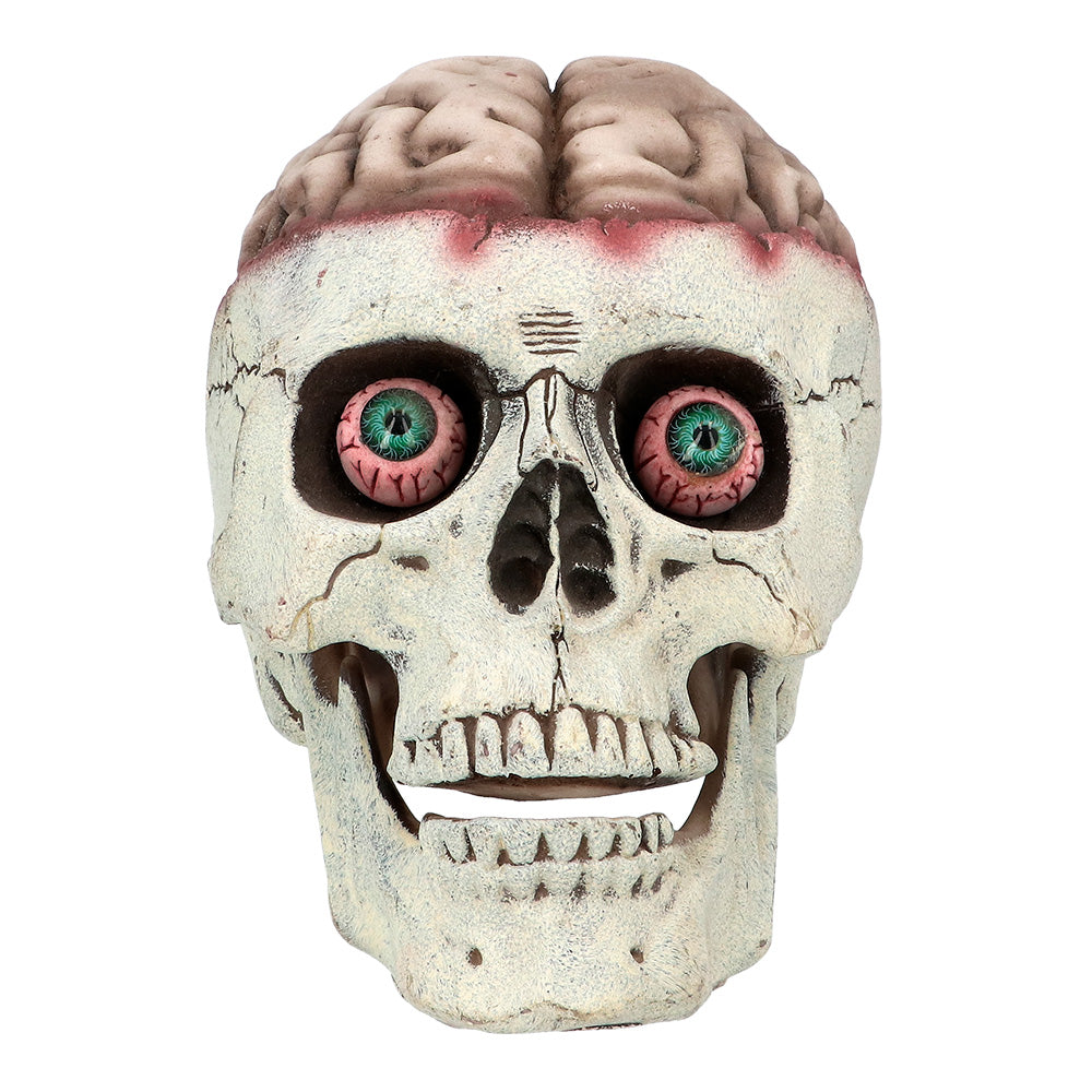 Crâne avec Cerveau Animé - Décoration Halloween Effrayante