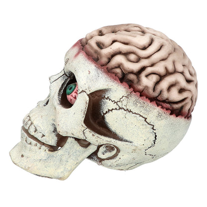 Crâne avec Cerveau Animé - Décoration Halloween Effrayante
