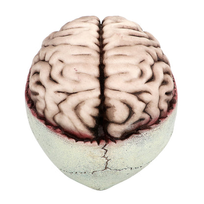 Crâne avec Cerveau Animé - Décoration Halloween Effrayante