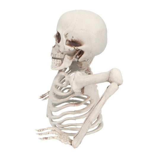Squelette Articulé Complet - Décoration Halloween Réaliste